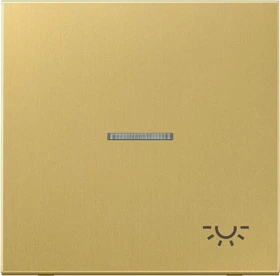 Jung Serie LS Wippe mit Lichtleiter Symbol Licht 1fach, Messing classic