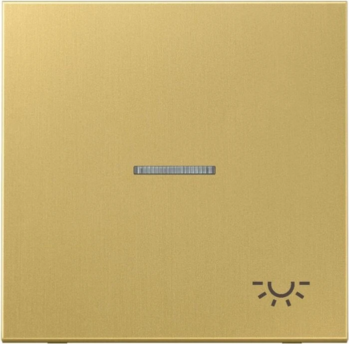 Jung Serie LS Wippe mit Lichtleiter Symbol Licht 1fach, Messing classic