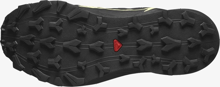 Salomon Thundercross GTX black/charlock (Damen)