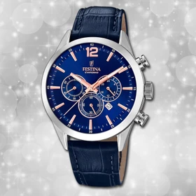 Festina Timeless F20542/4