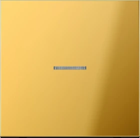 Jung Serie LS eNet Taster Standard 1fach Metall, goldfarben
