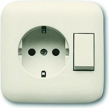 Busch-Jaeger Busch-Duro 2000 SI SCHUKO Steckdose mit Wippenschalter