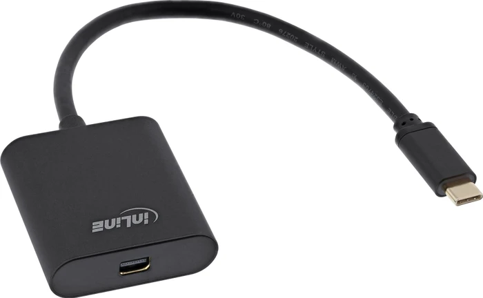 InLine Monitor Konverter USB-C Stecker auf Diplayport-Mini Buchse schwarz