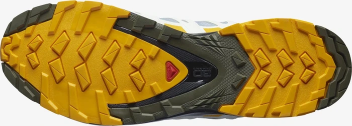 Salomon XA Pro 3D V8 GTX quarry/saffron/olive night (Herren)