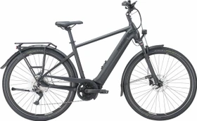 Pegasus Premio Evo 10 Lite 750Wh black matt Modell 2023 (Herren)