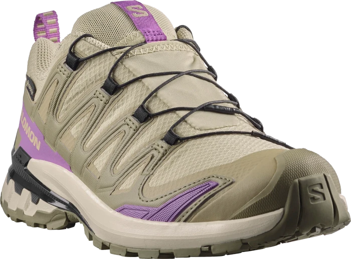 Salomon XA Pro 3D V9 GTX bog/aloe/concord grape (Damen)