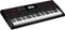 Casio CT-X3000 Vorschaubild