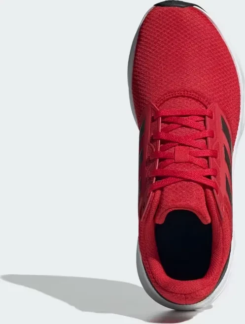 adidas Galaxy 6 better scarlet/aurora met./legend ivy (Herren)