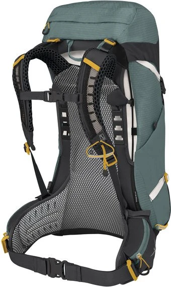 Osprey Sirrus 26 succulent green (Damen)