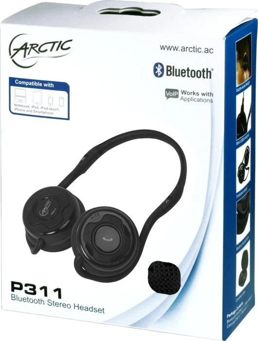 ARCTIC Sound P311 schwarz