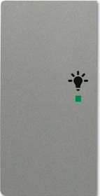 Busch-Jaeger Wippe 2-fach mit Symbol "Licht", graumetallic