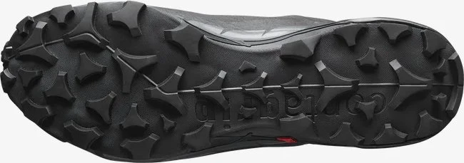 Salomon Cross Hike 2 GTX black/magnet (Herren)