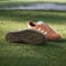 adidas Gazelle Spikeless dusky orange/ice tangerine/cloud white Vorschaubild
