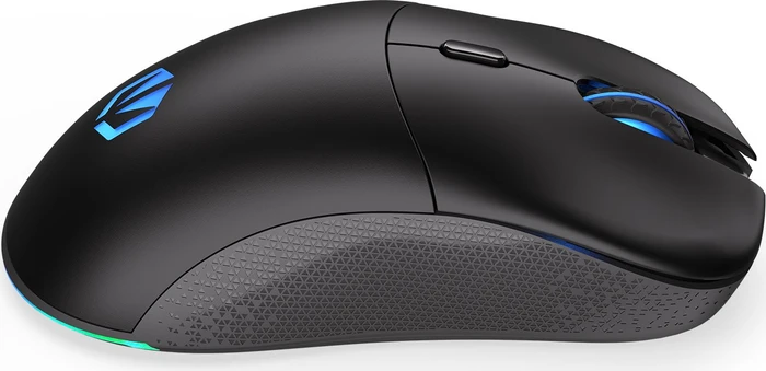 Endorfy GEM Plus Wireless, schwarz, USB