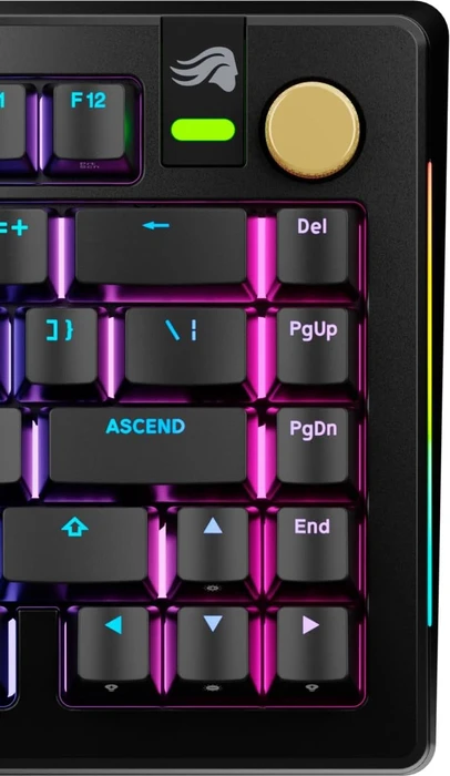 Glorious Gaming Rotary Knob für GMMK 3 PRO Tastatur und GMMK Numpads, Aluminium, Liquid Gold, gold, 1 Taste