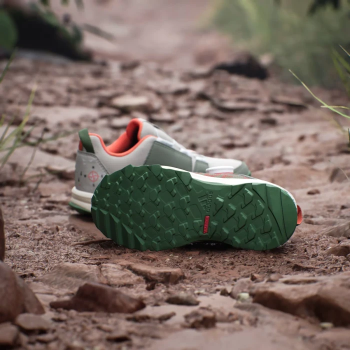adidas Terrex Agravic BOA wonder beige/olive strata/semi impact orange (Junior)