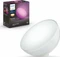 Philips Hue White and Color Ambiance Go Vorschaubild