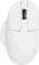 Keychron M7 Wireless Mouse Vorschaubild