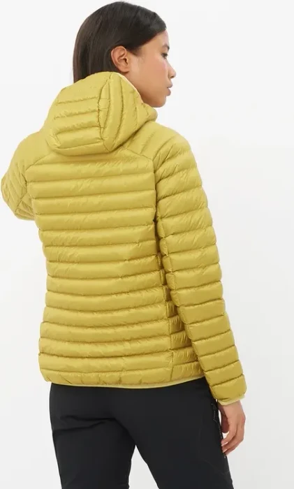 Salomon Elixir Micro Down Hooded Funktionsjacke cress green (Damen)