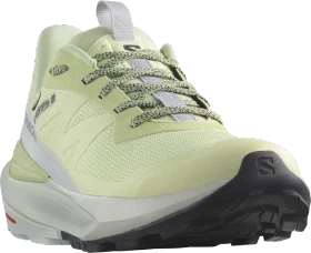 Salomon Elixir Activ Low GTX celadon green/glacier grey/phantom (Damen)