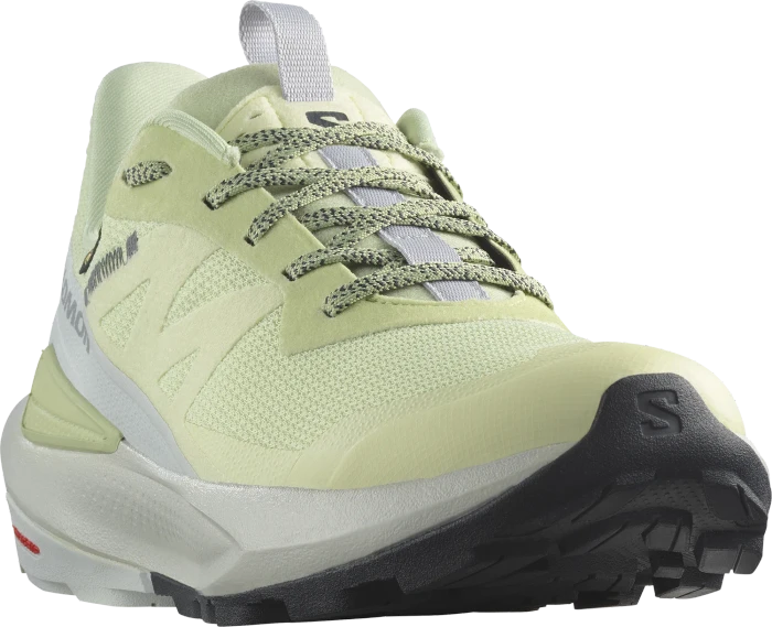 Salomon Elixir Activ Low GTX celadon green/glacier grey/phantom (Damen)