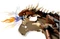 LEGO Harry Potter - Ungarischer Hornschwanz Vorschaubild