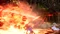 Tales of Arise - Collector's Edition (Xbox One/SX) Vorschaubild