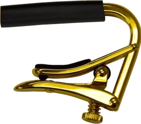 Shubb Capo Royale C5g gold