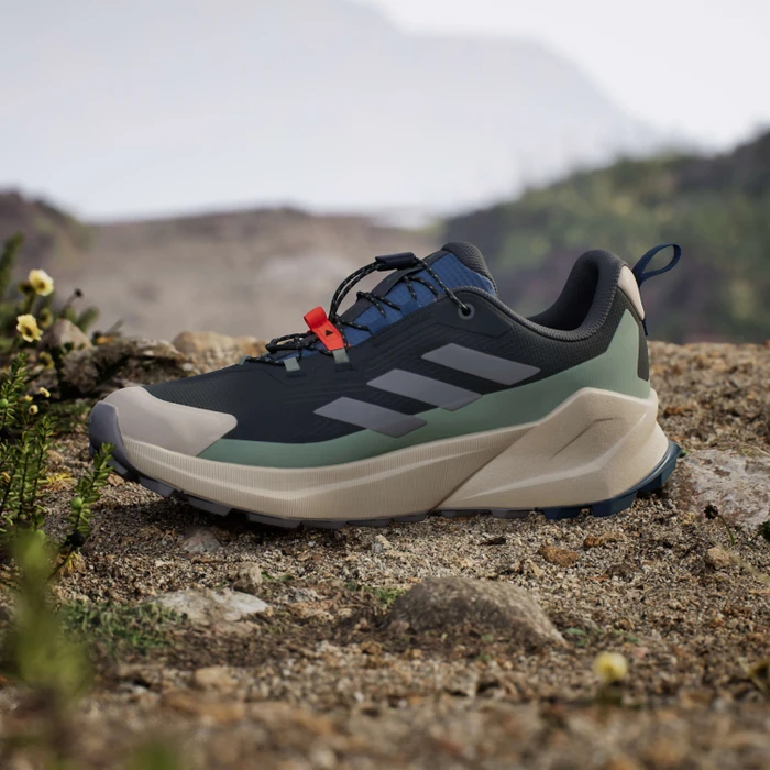 adidas Terrex Trailmaker 2 GTX Speed Lace carbon/grey three/silver green (Herren)