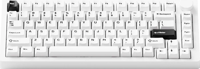 Akko Monsgeek M1 V5, Black on White, weiß, LEDs RGB, hot-swap, Mirror, USB/Bluetooth, US