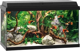 Juwel Primo 60 LED Aquarium-Set, schwarz, 57l