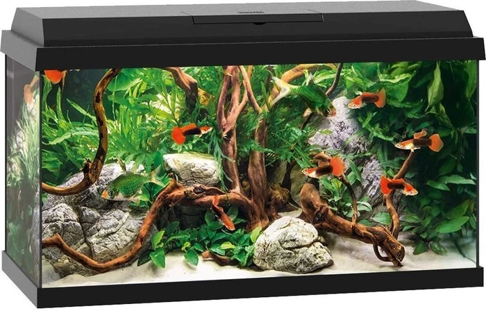 Juwel Primo LED Aquarium