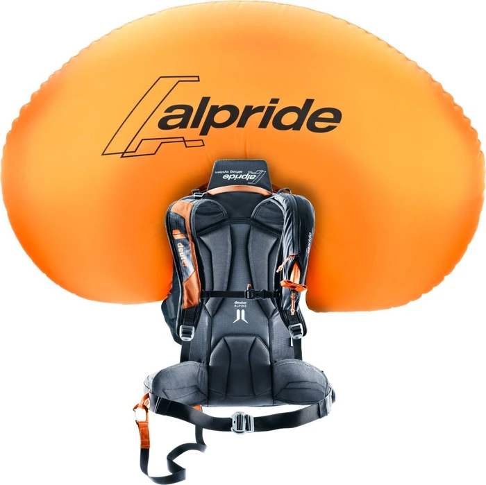 Deuter Alproof Lite 22 chestnut/black