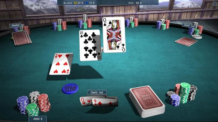 Kartenspiele - Familien Edition (PC)