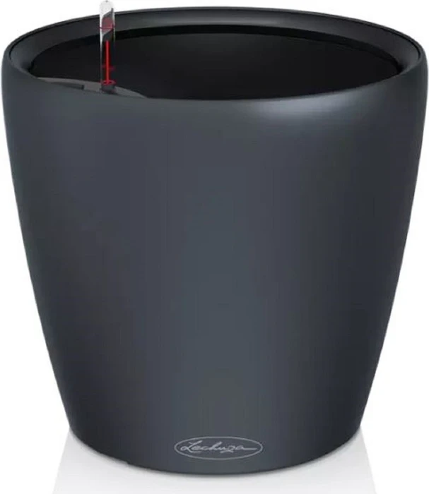 Lechuza Classico Color LS 35