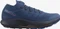 Salomon Pulsar Trail Pro (Herren) Vorschaubild