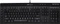 Corsair Gaming K55 RGB, USB, EU Vorschaubild