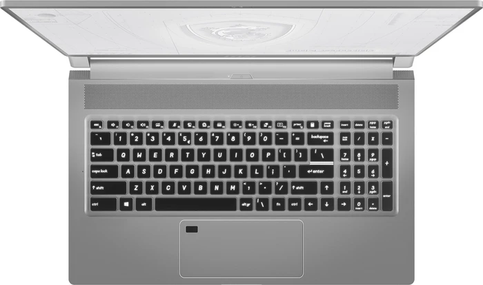 MSI WS75 10TM-498 Mobile Workstation WS75 10TM-498, Space Grey, Core i9-10980HK, 32GB RAM, 1TB SSD, Quadro RTX 5000 Max-Q, DE