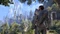 The Elder Scrolls: Online - Summerset (MMOG) (PC) Vorschaubild