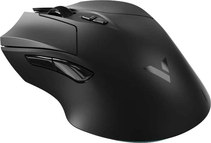 Rapoo V20PRO 8K/4K Wireless Gaming Mouse schwarz, USB