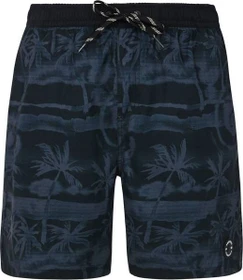Protest Delton Badeshorts true black (Herren)