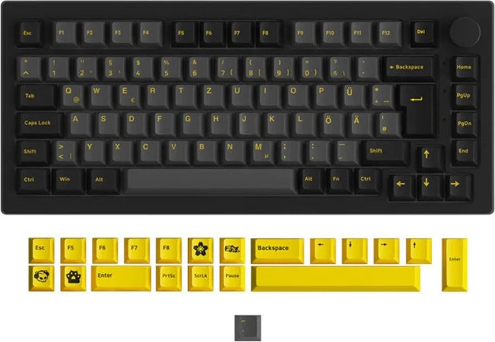 Akko 5075S, Black & Gold, LEDs RGB, hot-swap, V3 Pro Cream Yellow, USB, DE