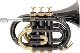 Roy Benson Bb-Taschentrompete PT-101K