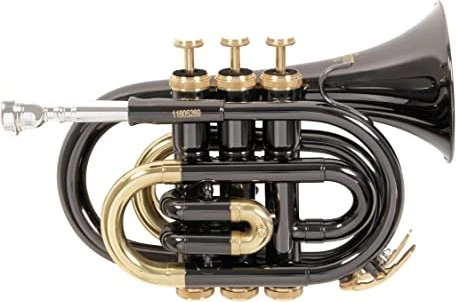 Roy Benson Bb-Taschentrompete PT-101