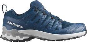 Salomon XA Pro 3D V9 poseidon/icicle/alloy (Herren)