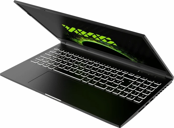 Schenker XMG Core 15-E20, Core i7-10750H, 8GB RAM, 250GB SSD, GeForce GTX 1650 Ti, DE