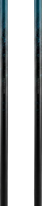 Atomic Redster Alpin Skistock dark slate