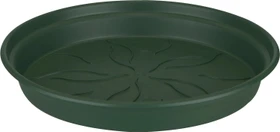 Elho Green Basics Blumentopfuntersetzer rund 22cm laubgrün