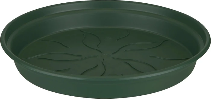 Elho Green Basics Blumentopfuntersetzer rund 22cm laubgrün