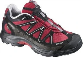 Salomon X-Tiana GTX (Damen)